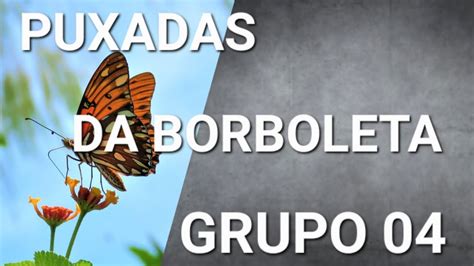 grupo da borboleta jogo do bicho,puxadas da borboleta